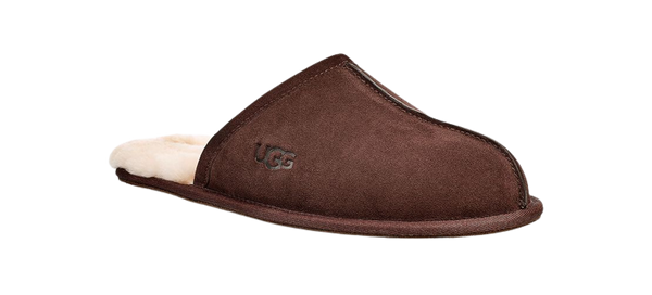 Uggs Scuff Espresso